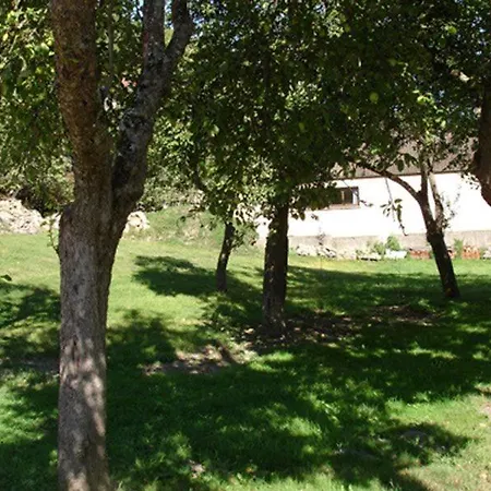 Lumineux Holiday home *